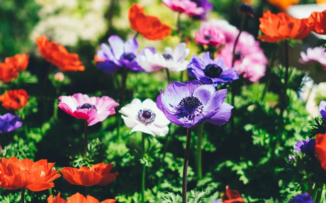 Amazing DIY Garden Projects Anyone Call Pull